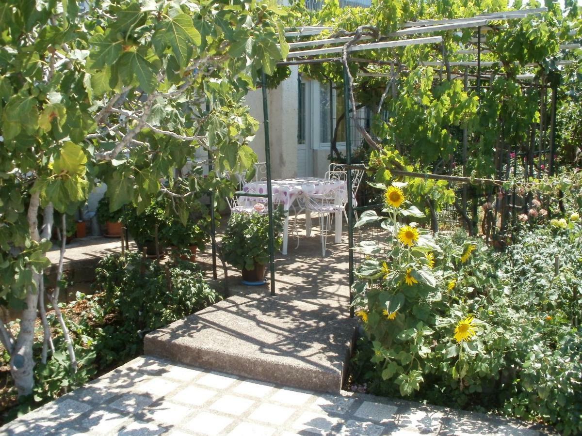 Apartman Marija 塞尼 外观 照片